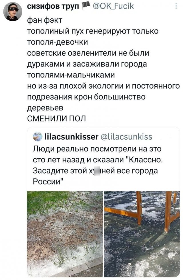 �������� �������� ������ ��� ����