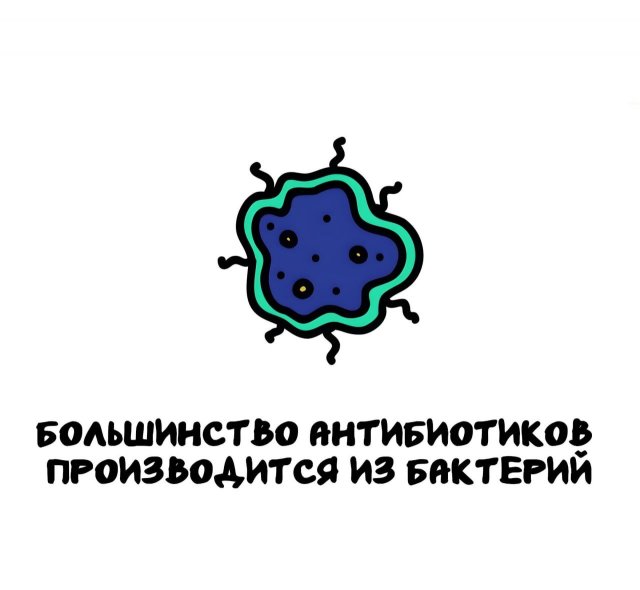 ���������� ����� �� ��� ������ �����