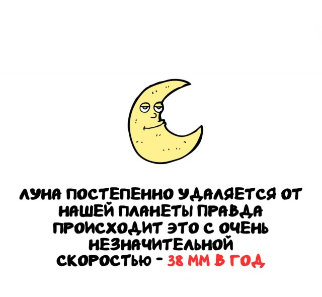 ���������� ����� �� ��� ������ �����