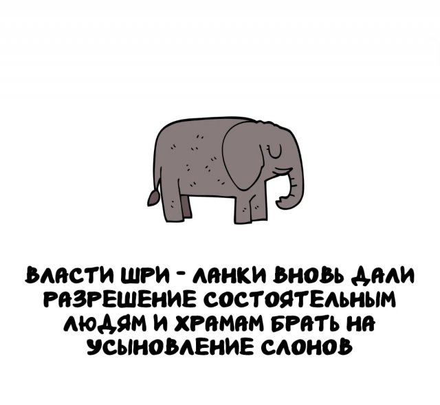 ���������� ����� �� ��� ������ �����