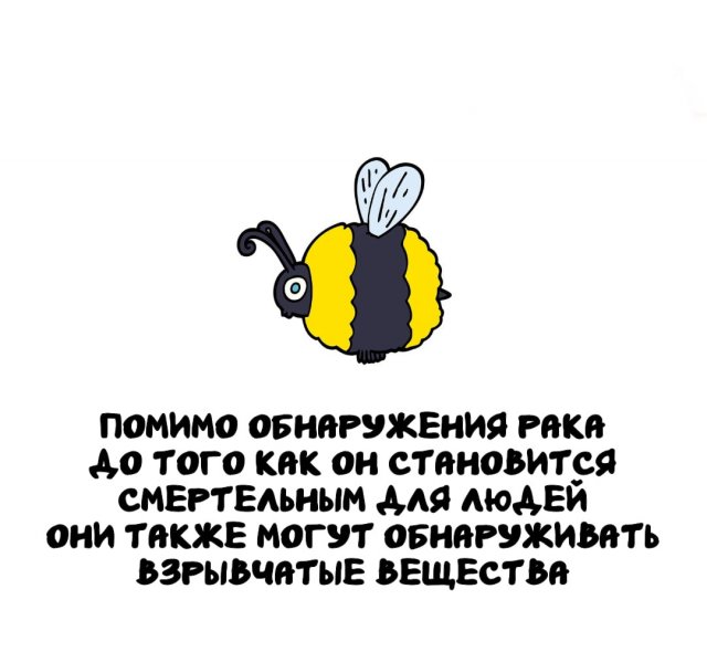 ���������� ����� �� ��� ������ �����