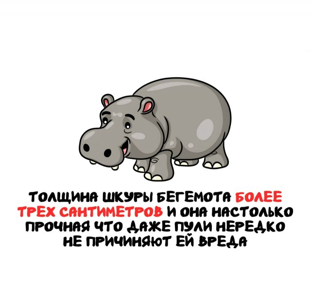 ���������� ����� �� ��� ������ �����