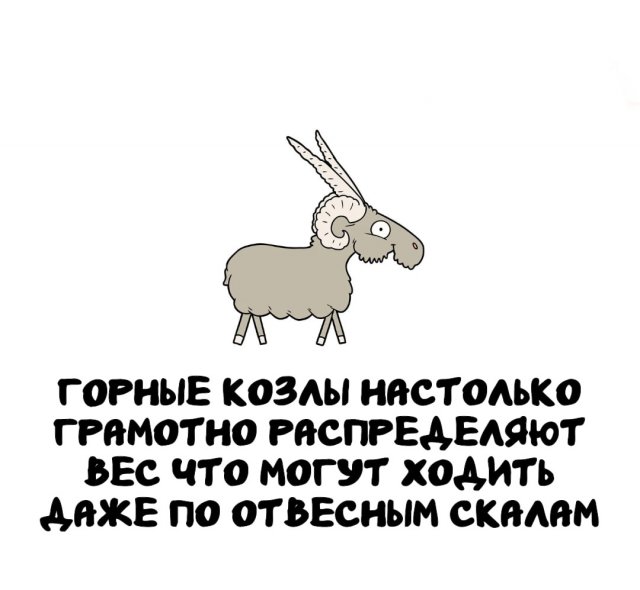 ���������� ����� �� ��� ������ �����