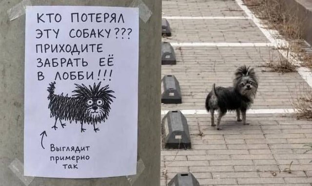 ������ ����� � ���� �� ����