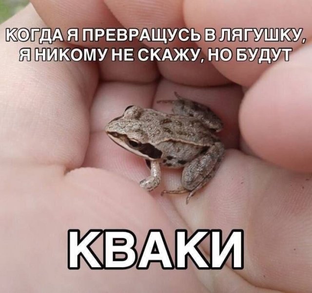 ������ ����� � ���� �� ����