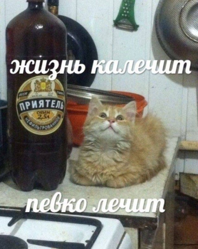 ������� ����