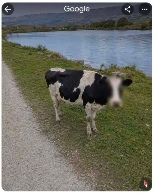 ������� ����