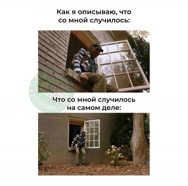 ������� ����