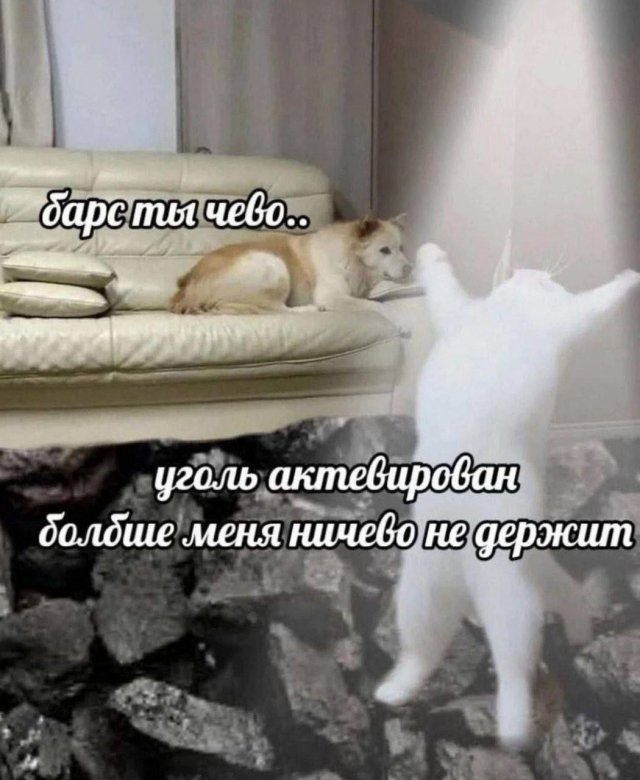������� ����