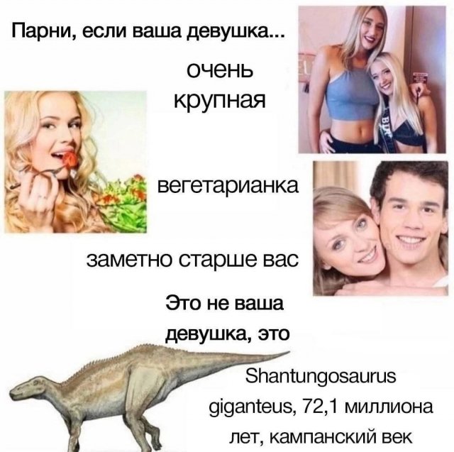 ������� ����