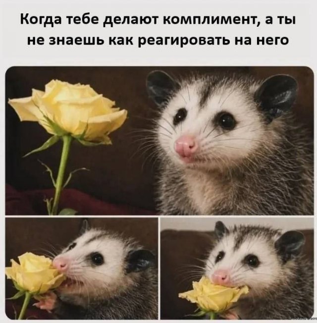 ����� ����� � ���� �� ����