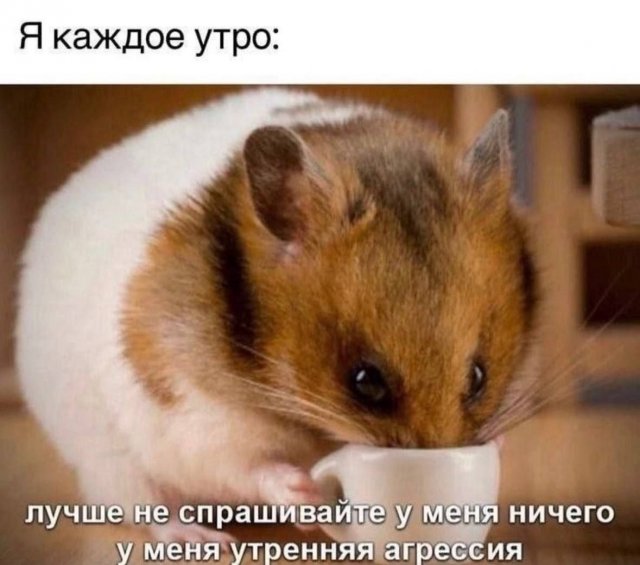 ����� ����� � ���� �� ����
