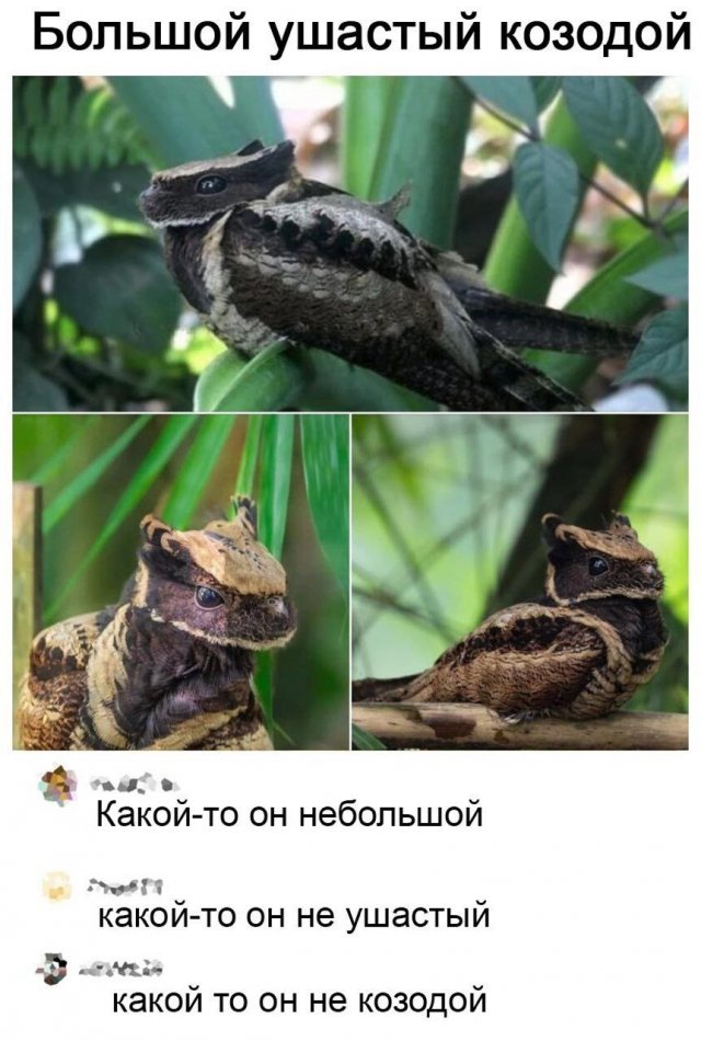 ������ ����� � ���� �� ����
