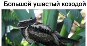 ������ ����� � ���� �� ����