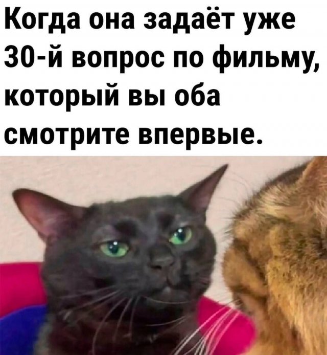 ������� ����