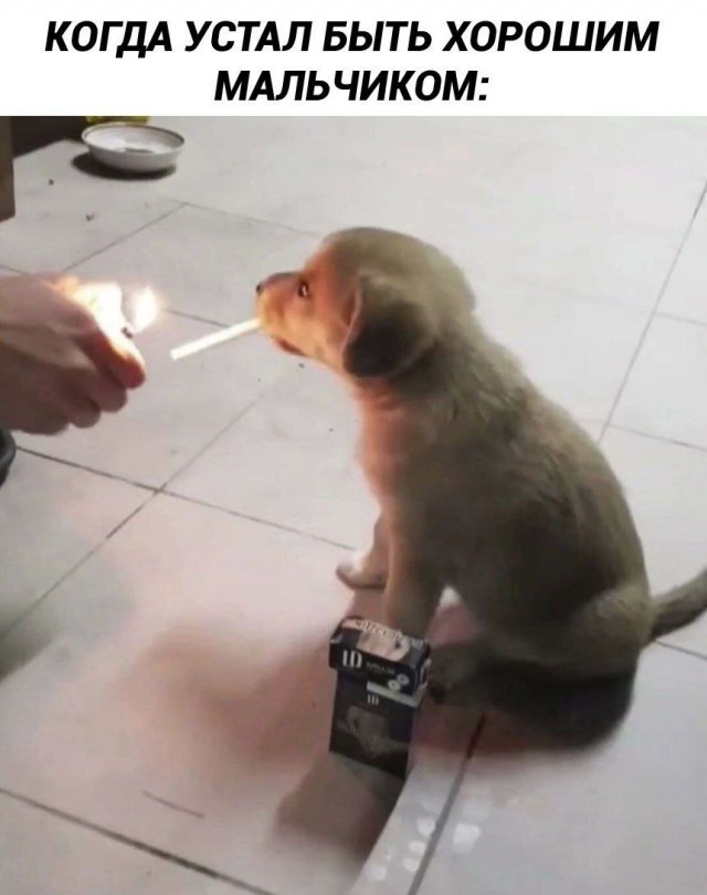������� ��������