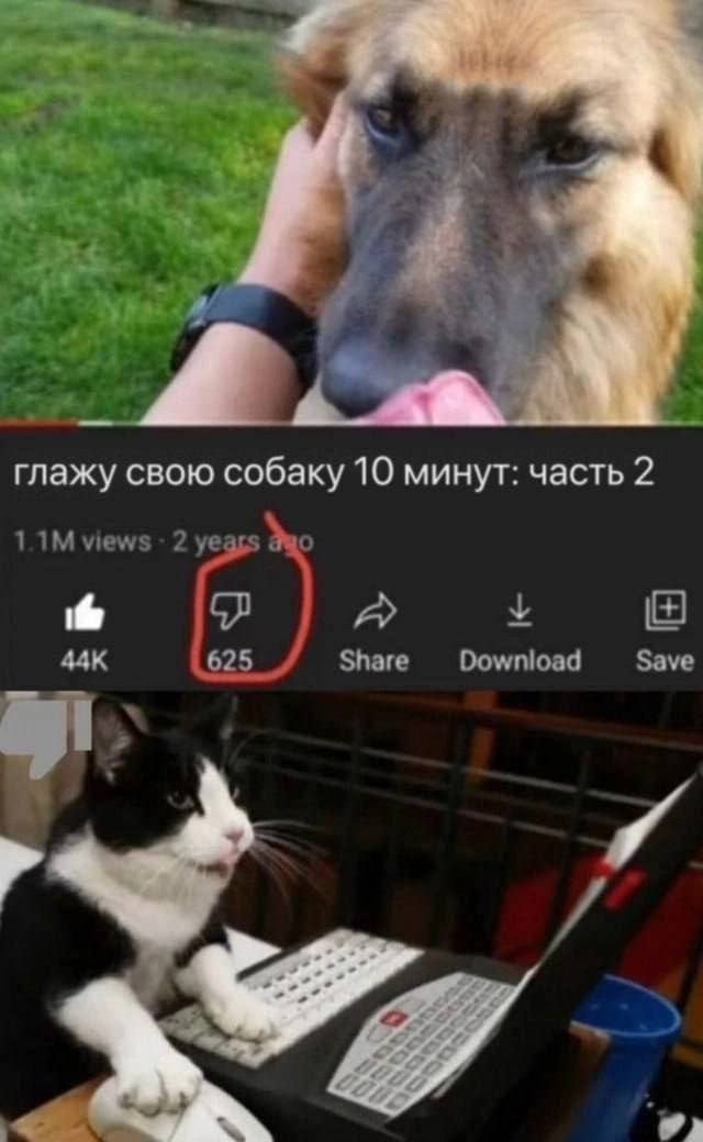 ������� ��������
