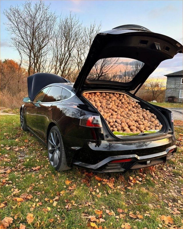 ������� ����