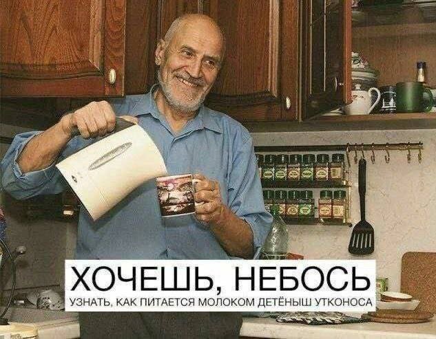 ������� ����