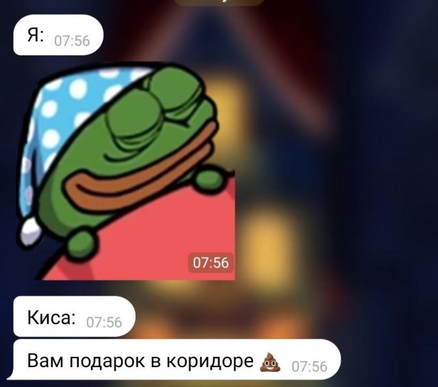 ������ ����� � ���� �� ����