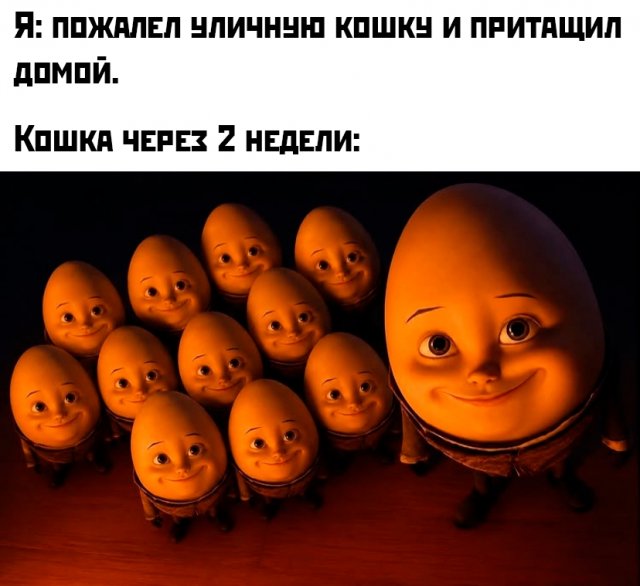 ������ ����� � ���� �� ����