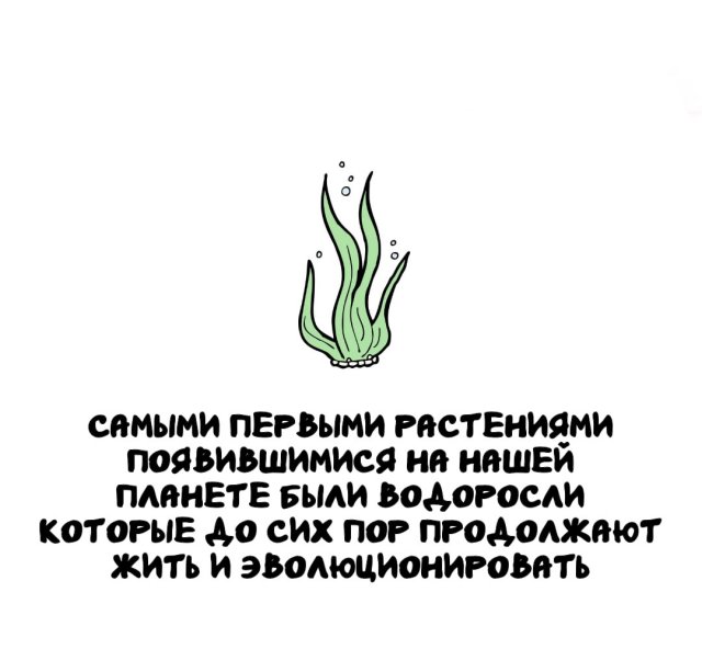 ���������� ����� �� ��� ������ �����