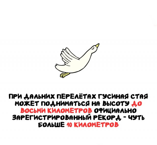 ���������� ����� �� ��� ������ �����