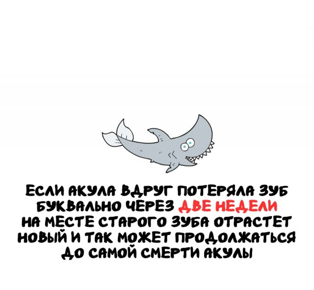 ���������� ����� �� ��� ������ �����