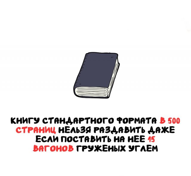 ���������� ����� �� ��� ������ �����