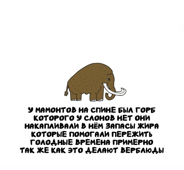 ���������� ����� �� ��� ������ �����