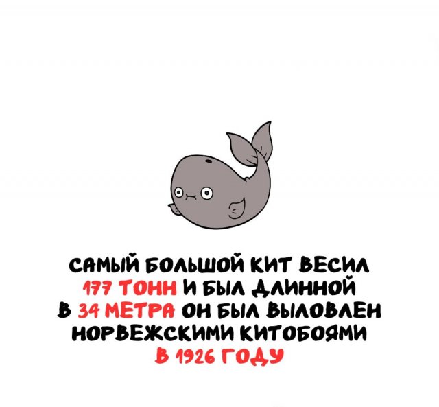 ���������� ����� �� ��� ������ �����