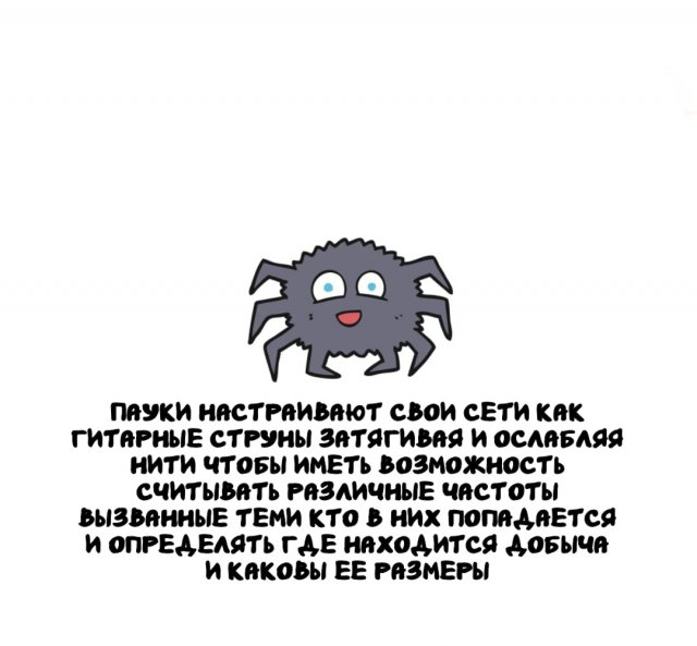 ���������� ����� �� ��� ������ �����