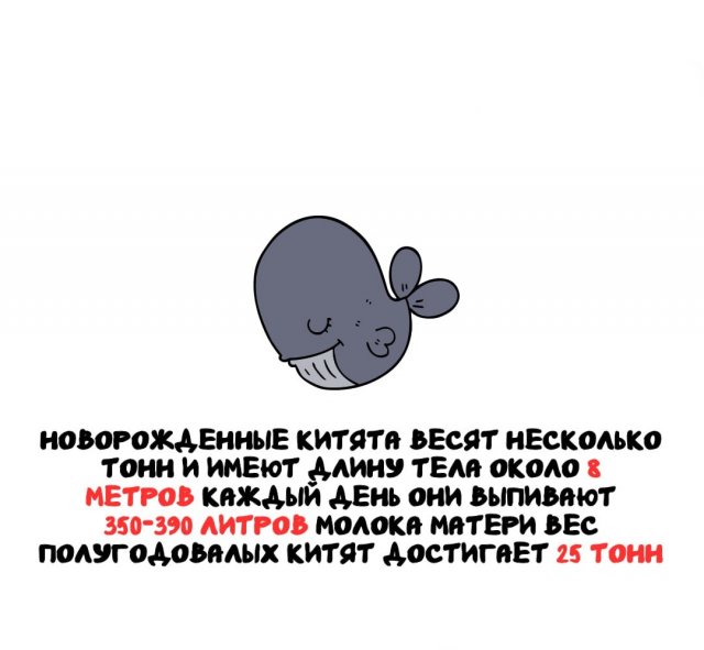 ���������� ����� �� ��� ������ �����