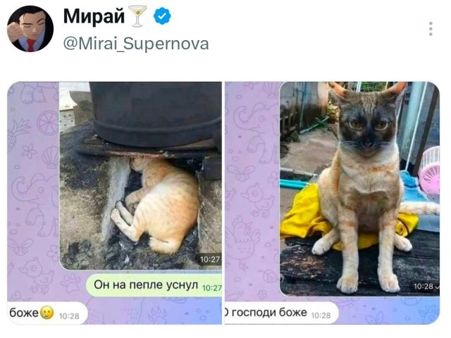�������� �������� ������ ��� ����