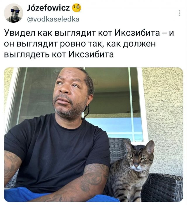�������� �������� ������ ��� ����