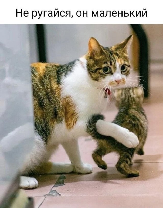 ������� ����