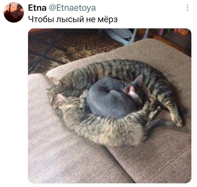 ������� ����
