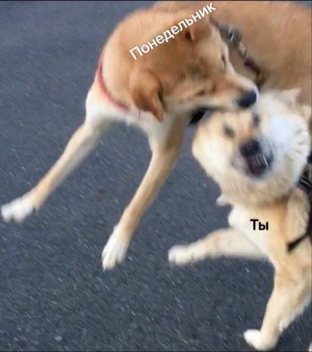 ������� ����