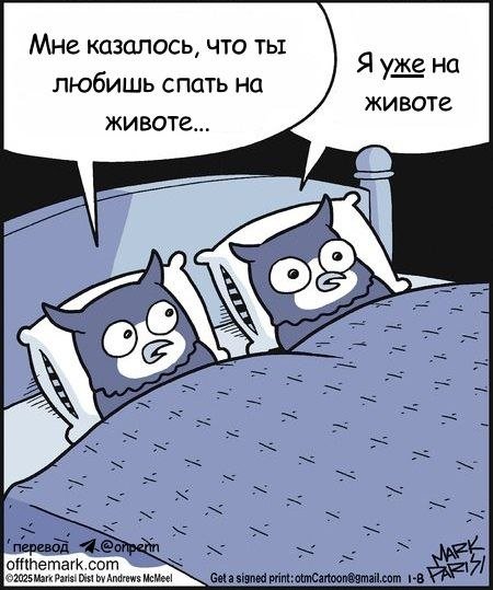 ������� ����