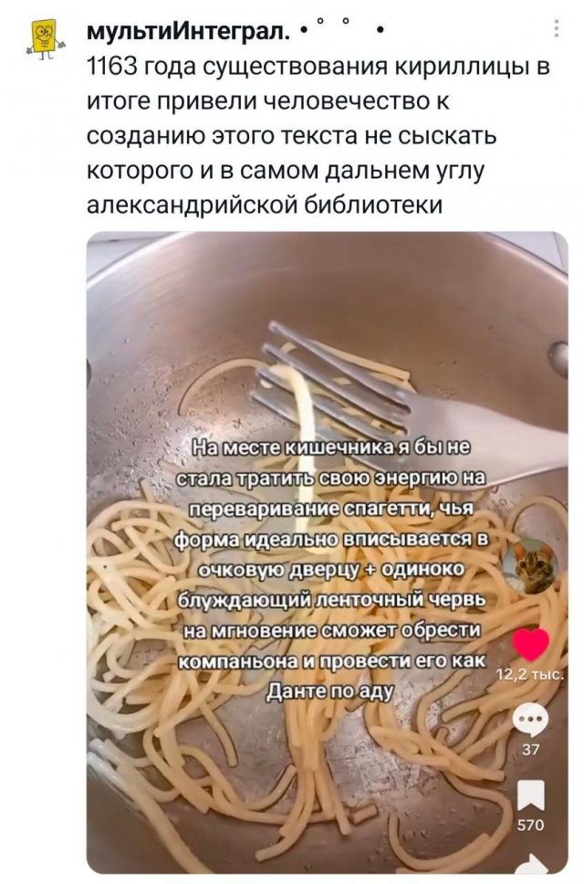 �������� �������� ������ ��� ���� (15 ����)