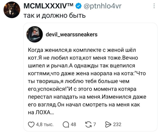 �������� �������� ������ ��� ���� (15 ����)