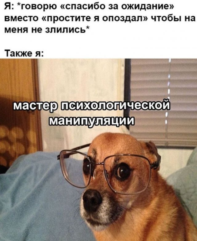 ������� ����