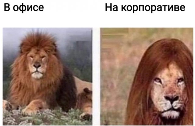 ������� ����