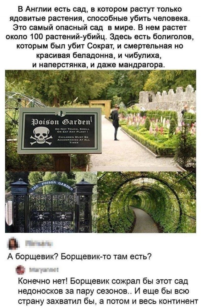 ������ ����� � ���� �� ����