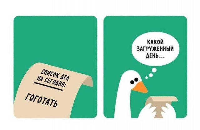 ������ ����� � ���� �� ����
