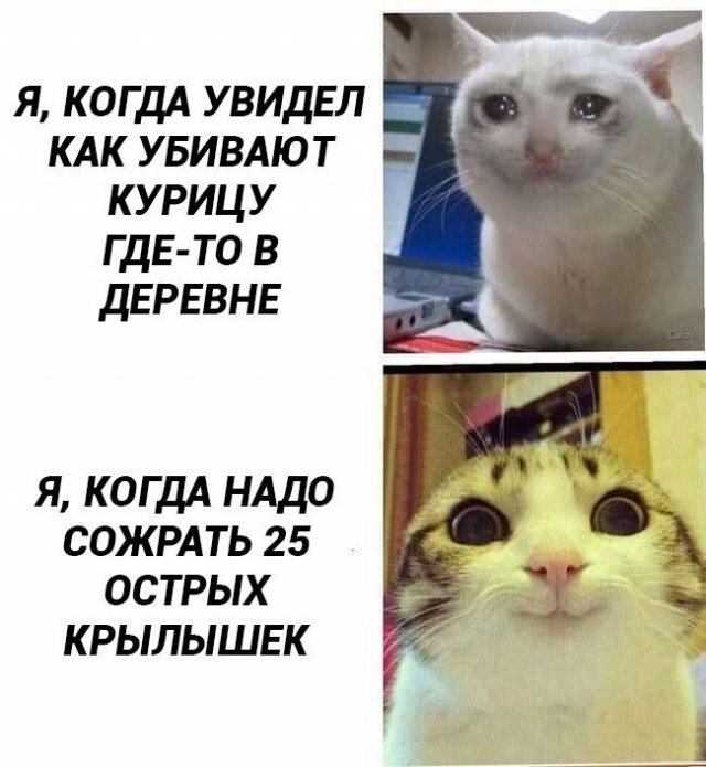 ������ ����� � ���� �� ����