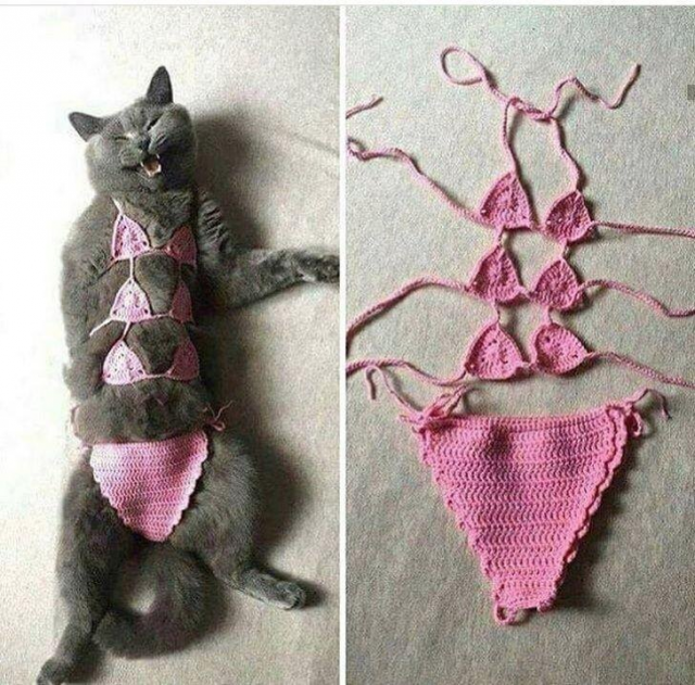 �������� �������� � ��������� ������� ������ ����� (19 ����)