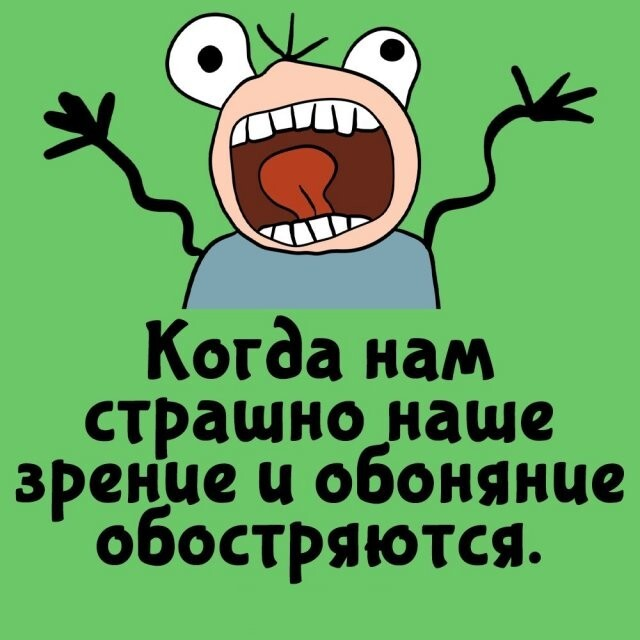 ���������� ����� �� ��� ������ ����� (15 ����)