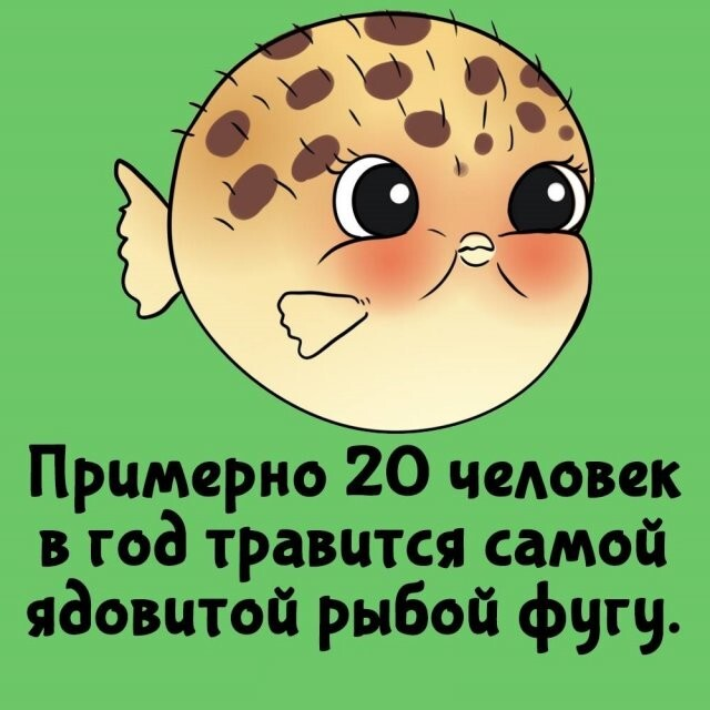 ���������� ����� �� ��� ������ ����� (15 ����)