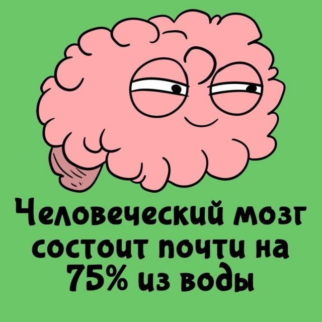 ���������� ����� �� ��� ������ ����� (15 ����)
